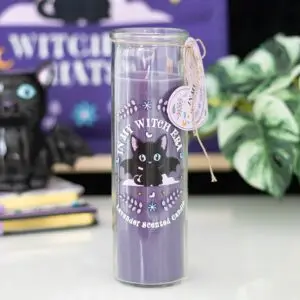 🐈⬛ Vela tubular de lavanda Whiskers and Wings